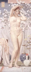 Til Venus